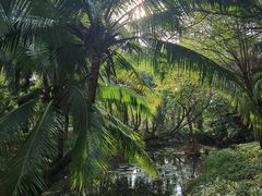 -白沙门生态公园