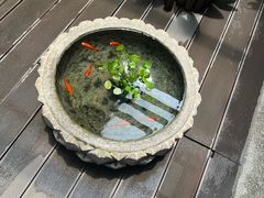 -华林禅寺