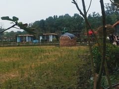 -洪湖家庭农场·团建·露营·会议