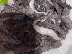 -应时肥牛火锅居(联合路店)