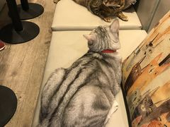 -小时光咖啡馆(开森度假森林店)