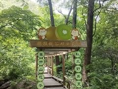-大岭沟猕猴桃谷风景区