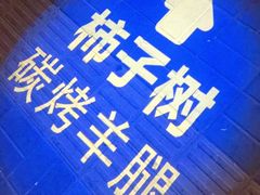 -柿子树炭烤羊腿(金台路店)