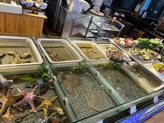 -闻香全驴大宅门