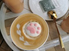 -喵屿·大理花园猫咖