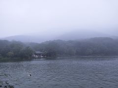 -紫霞湖公园