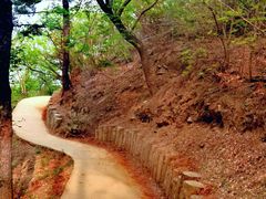 -北京西山国家森林公园