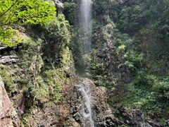 -天门沟九州驿站树上汤泉