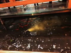 -松子料理(亮马桥店)