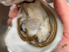 -岳各庄批发市场(西四环中路店)