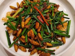 -侨美·唐荔园·40年地道粤菜