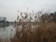 -美兰湖景区
