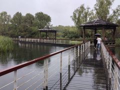 -同里国家湿地公园