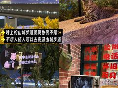 -山城巷传统风貌区