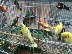 -三旗百汇商品城