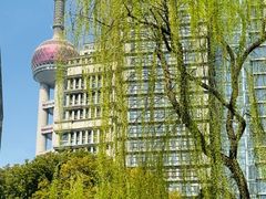 -陆家嘴中心绿地