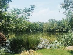 -新荣记(西溪湿地店)