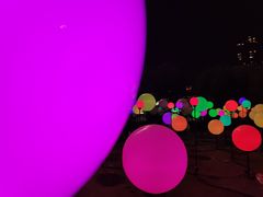 -锦江乐园舞狸花花游园会(夜场专享)