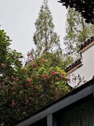 -莲生母婴月子中心(清水河公园店)