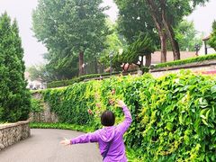 -烟台山景区