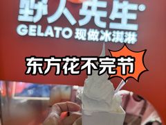 -野人先生现做冰淇淋(北京王府井东方新天地店)