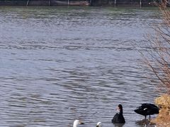 -艾溪湖湿地公园