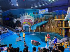 -烟台海昌鲸鲨海洋公园