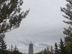 -嘉荫恐龙国家地质公园