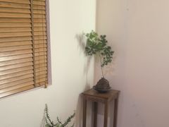 -小茶闲舍·观景商务茶馆(广州塔店)