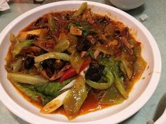 -陈麻婆豆腐总店