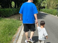 -八仙山公园
