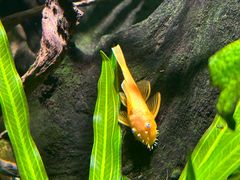 -太平洋海底世界