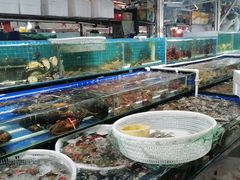 水产区-华阳海鲜市场(府西路店)