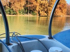 -上海海湾国家森林公园