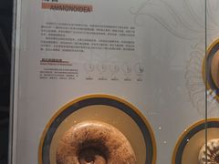 -湖南省地质博物馆