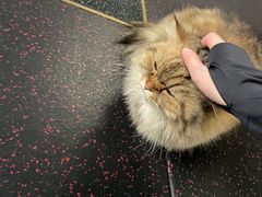 -TOP健身私教工作室(侨香店)