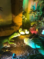 -恐龙探索乐园(磁器口店)