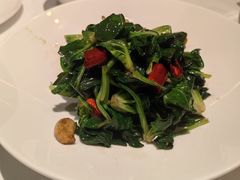 -阿五黄河大鲤鱼(纬三路店)