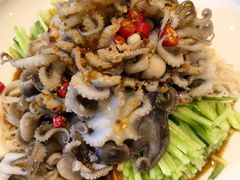 桃花蛸-添福来墨鱼饺子 · 海鲜东北菜(大连星海·黄浦路店)