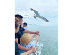-海驴岛(荣成市)