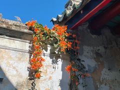 -程洋冈村