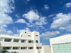 -海岛日记(养马岛店)