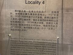 -北京周口店北京人遗址博物馆