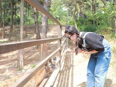 -安徽大青山野生动物世界