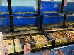 -添福来墨鱼饺子 · 海鲜东北菜(泡崖店)