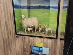 -清真·益鑫羊肉手抓馆(花园北街店)