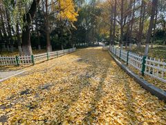 -石家庄市动物园