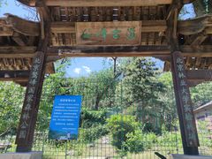 -阳台山自然风景区