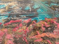 -新丁香海鲜酒店(银海商贸城店)