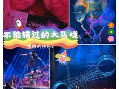 -重庆国际马戏城